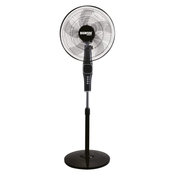 Standing Fan BM2325